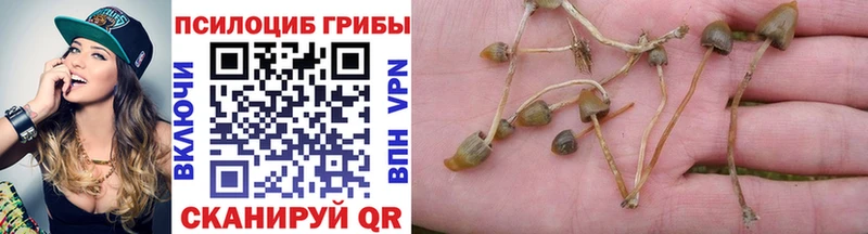 ссылка на мегу как зайти  Вольск  Галлюциногенные грибы GOLDEN TEACHER 